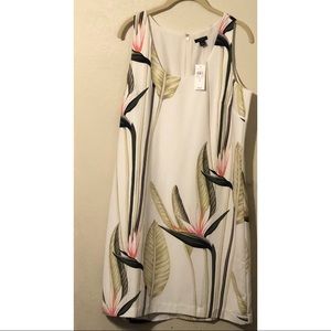 Shift Dress